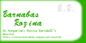 barnabas rozina business card